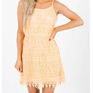 Last Chance Before Donating on 12/1! NELLIS Peach Lace Dress